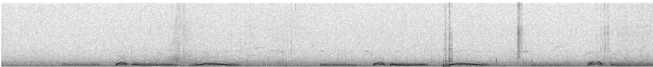 holub skvrnitý - ML612203328