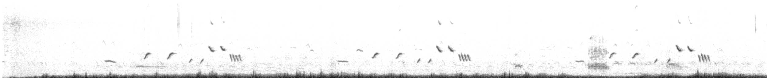 Полевой ложнокрапивник - ML612203566