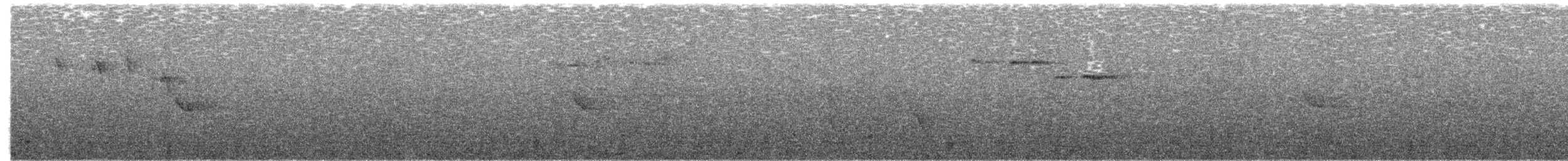 Снежнобровая мухоловка - ML612207338