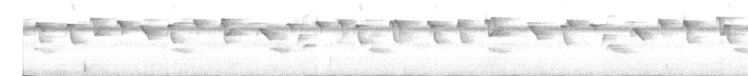 Пестрогорлый колибри-отшельник - ML612208494