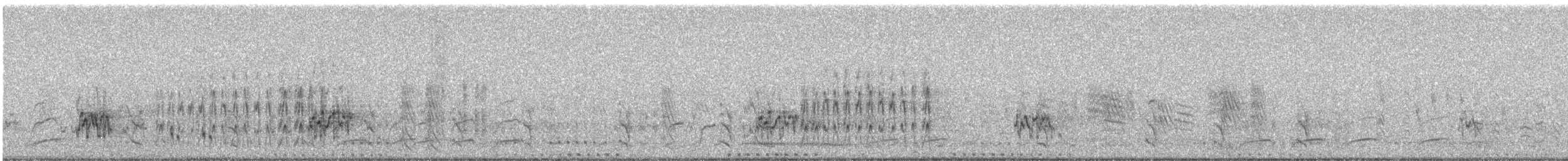 Schwarzgesicht-Schwalbenstar - ML612215275