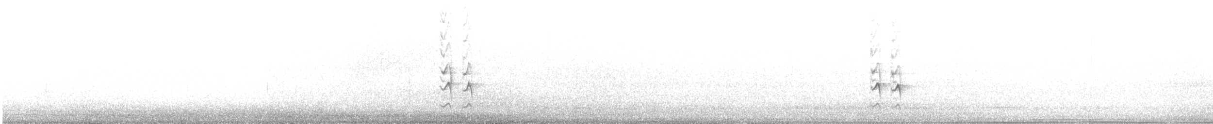 hvitsmykkehonningeter - ML612218422