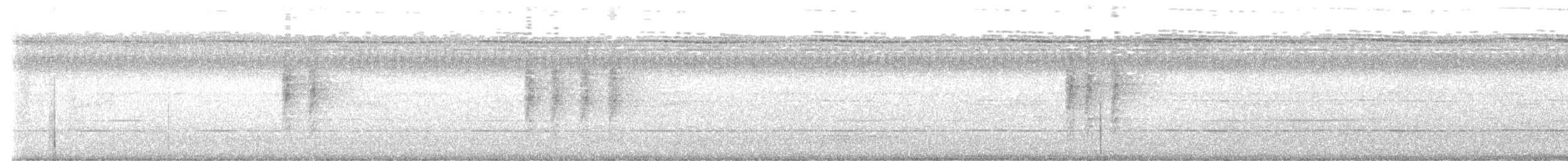 dvergedderkoppjeger - ML612218521