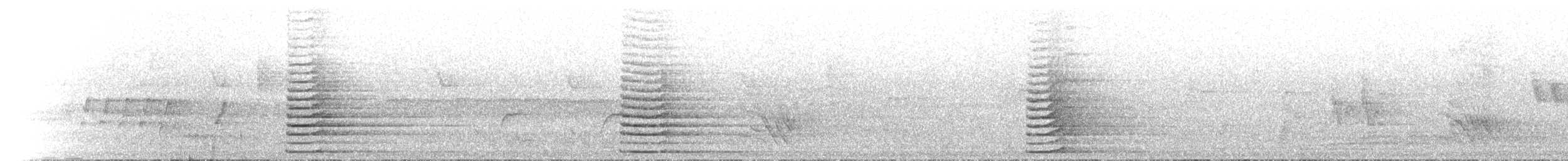 Talève australe - ML612218963