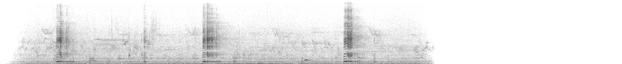 Talève australe - ML612218973