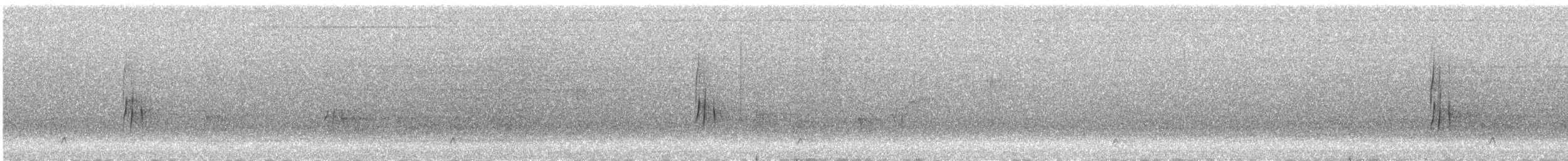 Серогрудый трескунчик - ML612219054
