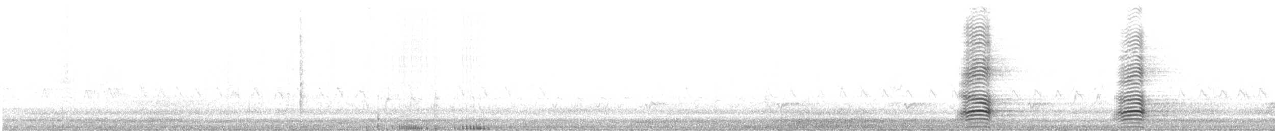 Torreskrähe - ML612219360