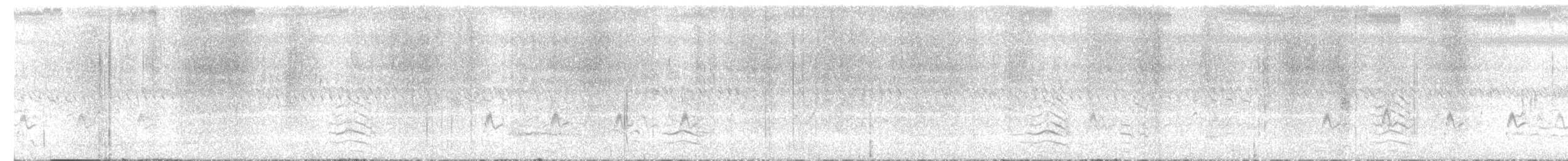חרטומית סיבירית - ML612219404