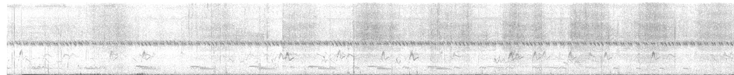 チュウジシギ - ML612219469