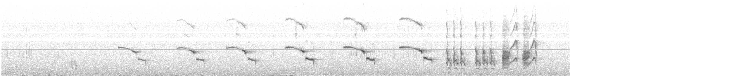 Patagonya Taklitçisi - ML612220901