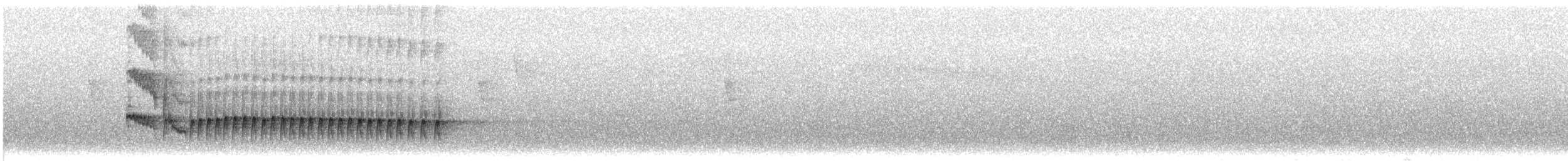 Антильский тиранн [группа caudifasciatus] - ML612222736