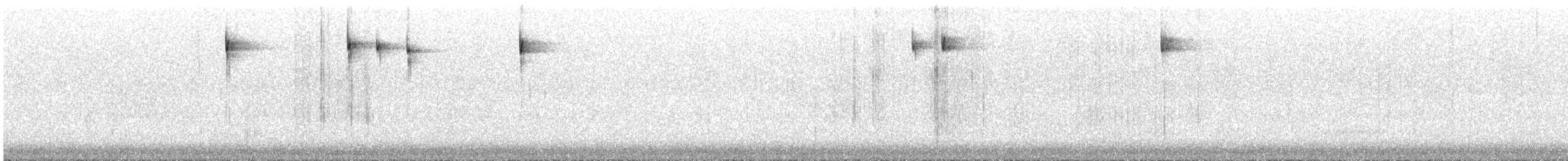 Blackpoll Warbler - ML612223653