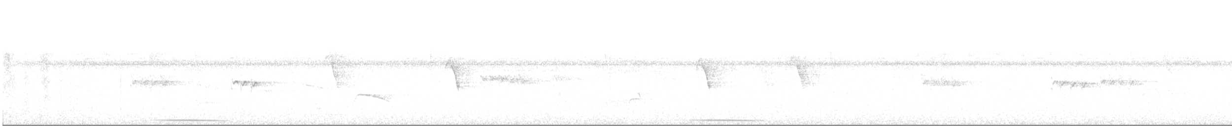 holub šedočelý - ML612223795