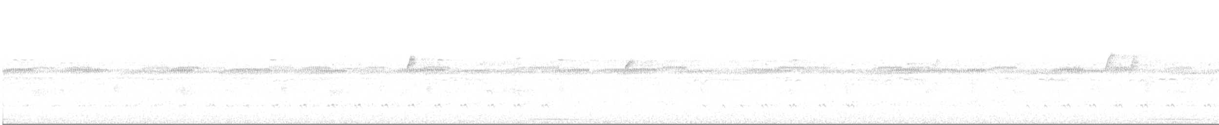 holub šedočelý - ML612223822