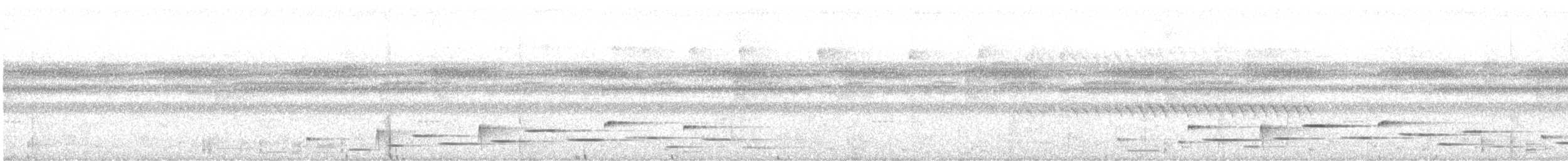 Толстоклювый крапивник (salvini) - ML612224786