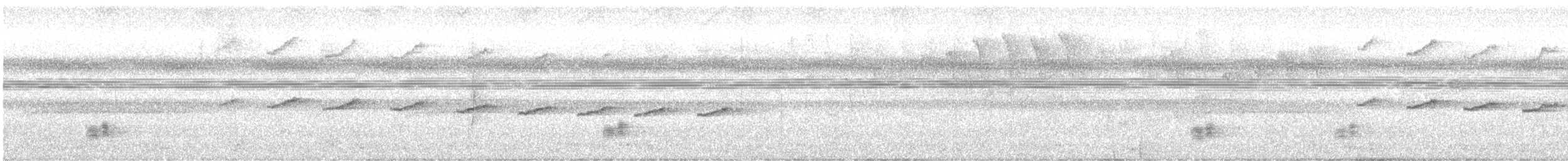 Sclérure obscur (peruvianus) - ML612224975