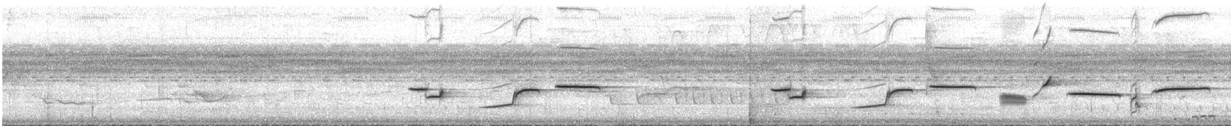 Трупіал жовтоплечий (підвид chrysocephalus) - ML612227207
