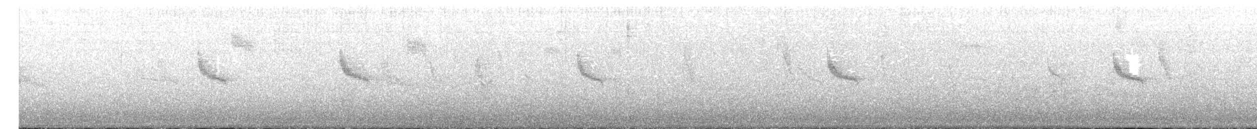 Anteojitos de Swinhoe - ML612229108