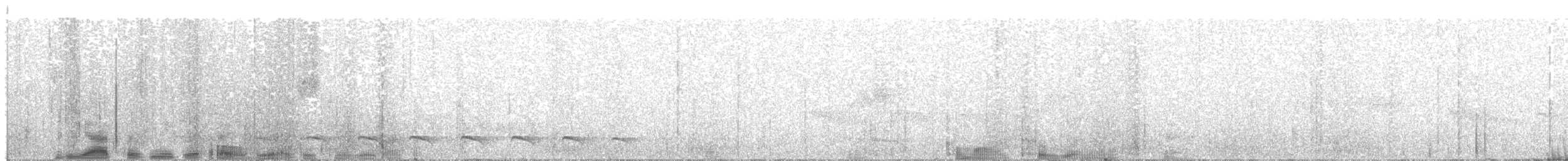 Weißbart-Ameisenwürger - ML612229854