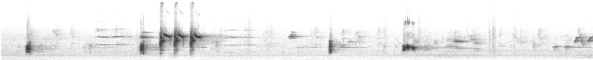 Australrohrsänger - ML612230289