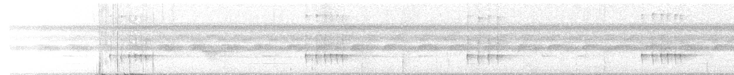 Todirostre de Snethlage - ML612230676