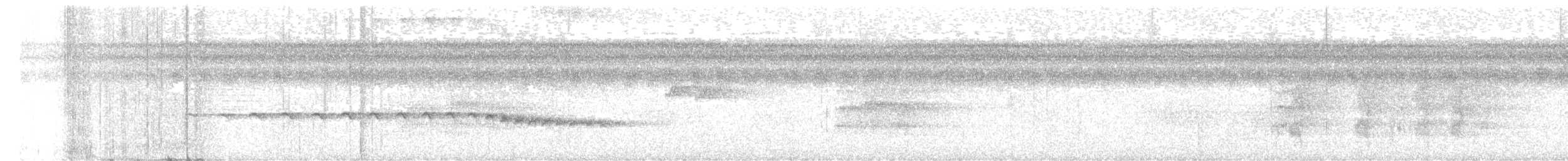 Grauwangen-Ameisenvogel - ML612230882
