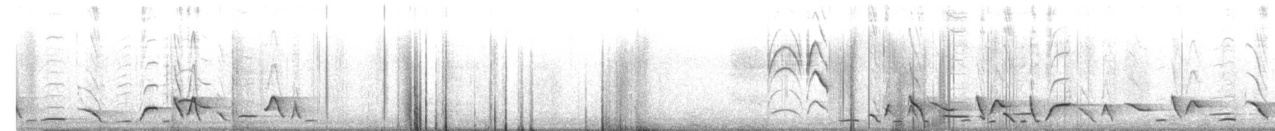 Поплітник смугастощокий - ML612240299