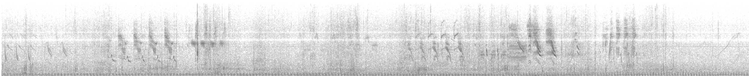 Grass Wren - ML612241334