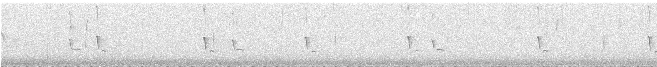 Светлобрюхий фиби - ML612242653
