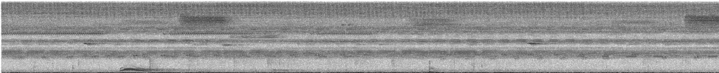 Сова-лісовик смугаста - ML612246606