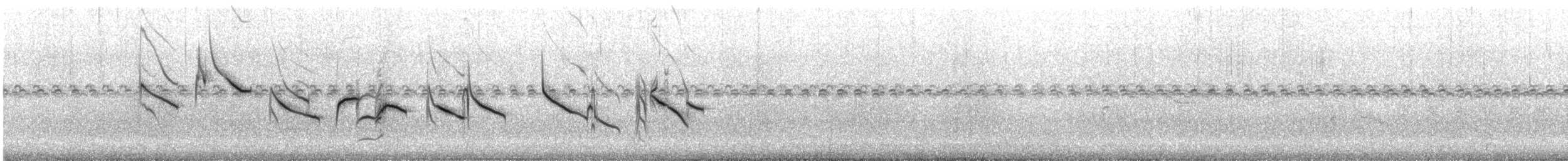 Sedef Karınlı Tohumcul - ML612246997