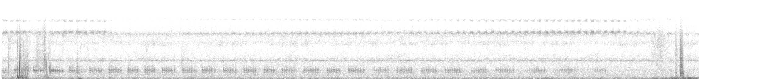 Şeritli Kestane Yelvesi - ML612248171