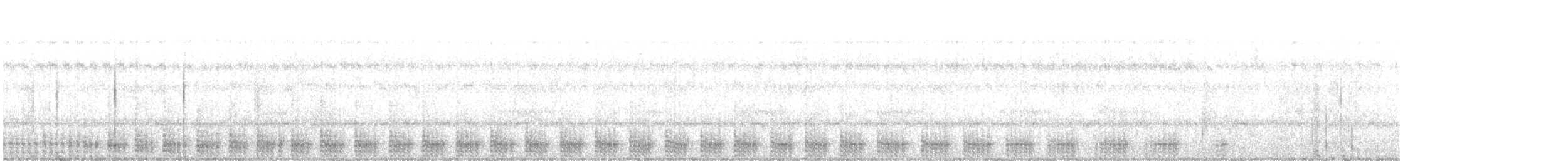 Şeritli Kestane Yelvesi - ML612248172