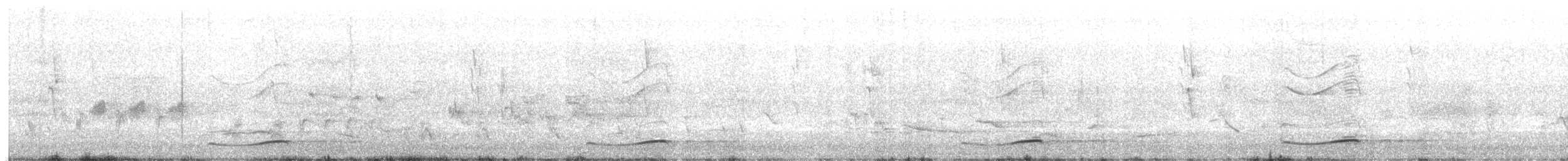 Тихоокеанский коэль - ML612250378