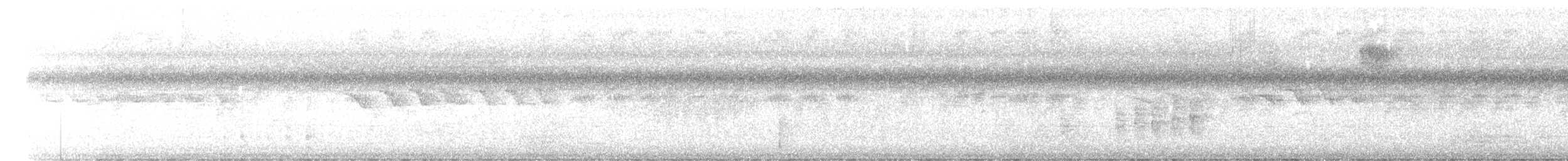 קיכלי Turdus בלתי-מזוהה - ML612254434