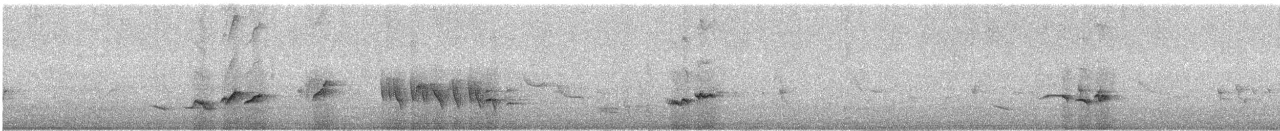 gråflanketrosteskvett - ML612256708