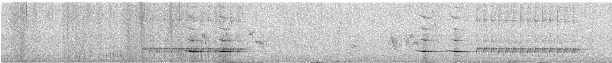 sitronbuskvarsler (zeylonus gr.) - ML612257619