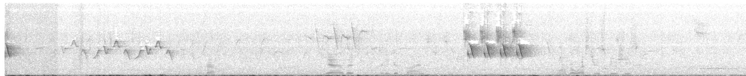 Spotted x Eastern Towhee (hybrid) - ML61225941