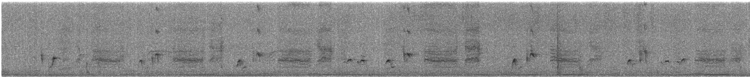 svartryggvarsler (collaris gr.) - ML612265075