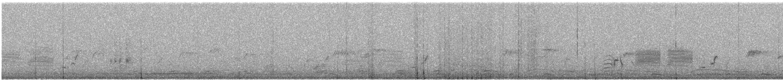 svartryggvarsler (collaris gr.) - ML612265146