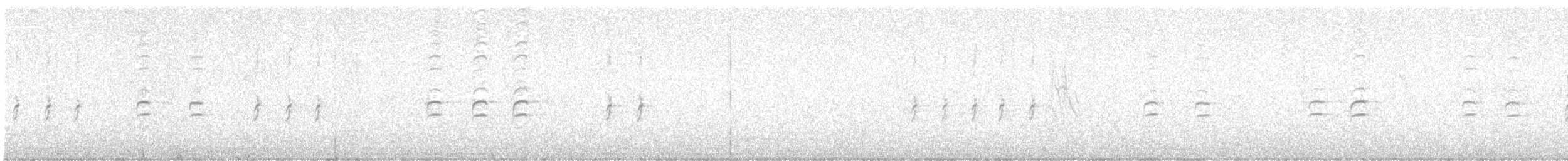křivka bělokřídlá - ML612266819