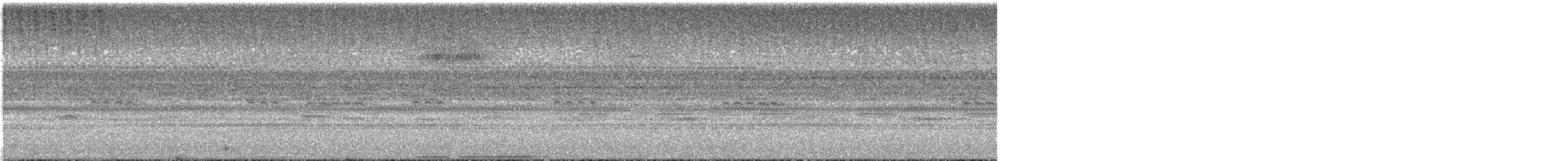 Paují Nocturno - ML612267746