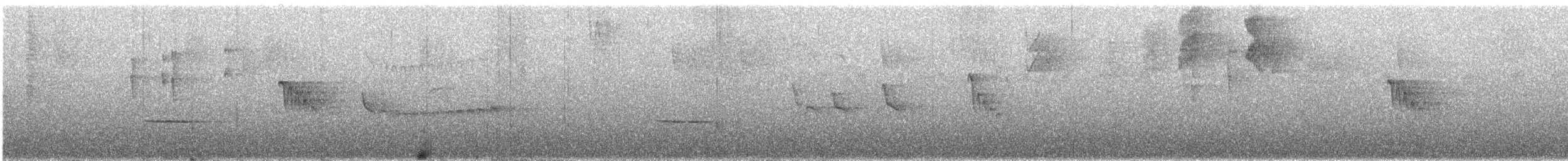 サンロクキクイタダキモドキ - ML612272085