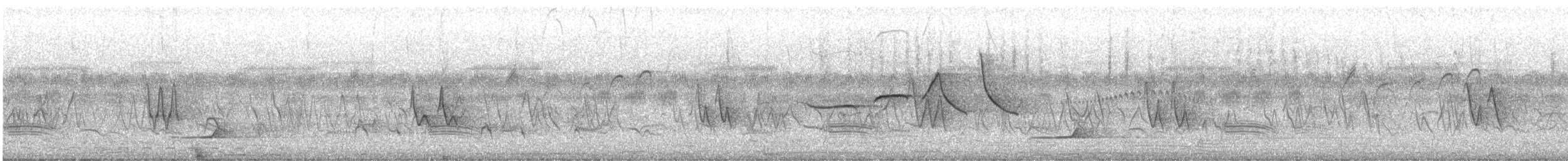 Quebracho Crested-Tinamou - ML612274520