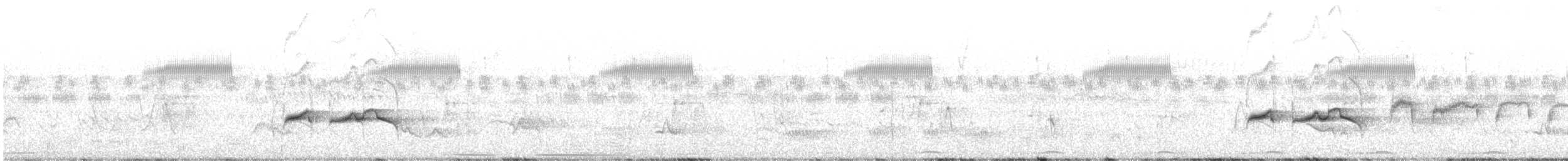 Çizgili Sırtlı Karıncaçıvgını - ML612274752