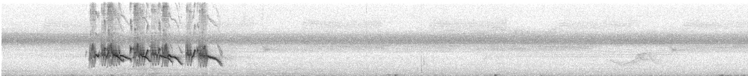 Long-billed Wren-Babbler - ML612281777