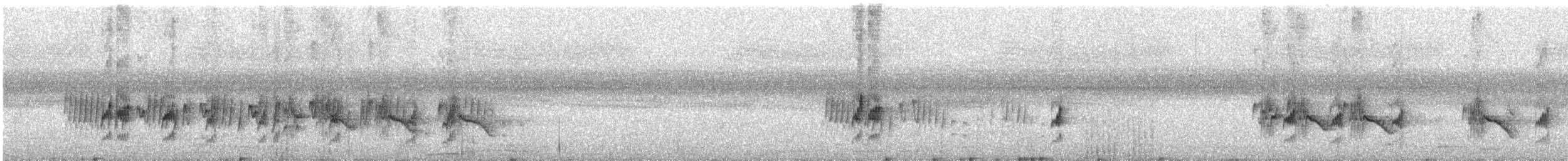 Turdinule à long bec - ML612281780