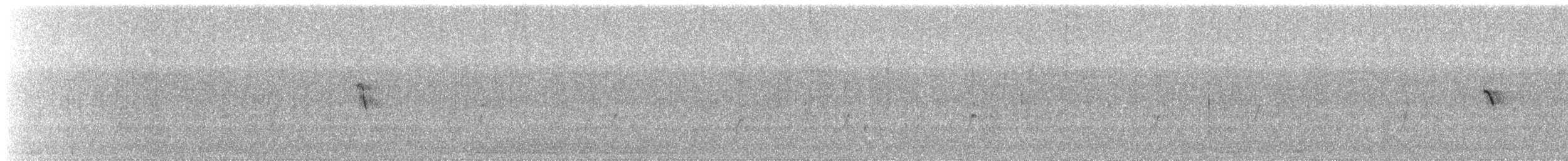 Полосатый трескун - ML612282119