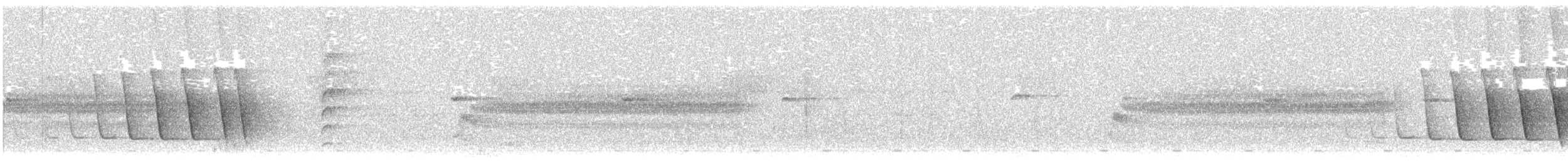 Mangrove Whistler - ML612288471