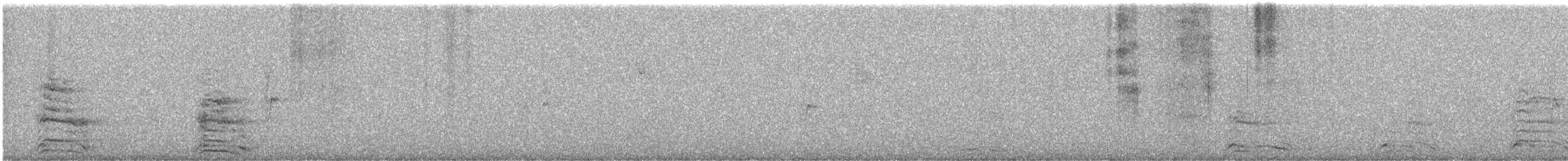 Gabbiano reale pontico - ML612293164